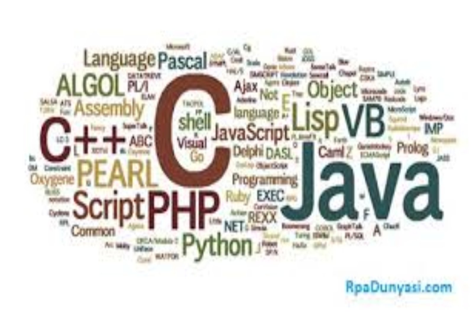 The Digital Lingua Franca: Understanding Programming Languages