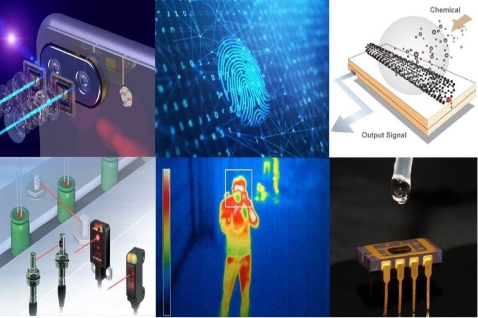 The Unseen Senses: Understanding the World of Sensors